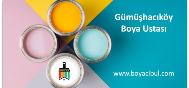 Gümüşhacıköy Boya Ustası